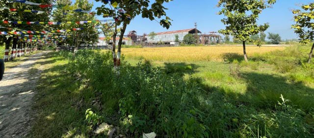 MAHAGRO Sustainable Factory